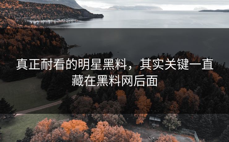 真正耐看的明星黑料，其实关键一直藏在黑料网后面