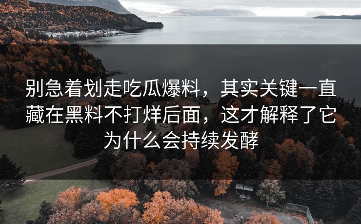 别急着划走吃瓜爆料，其实关键一直藏在黑料不打烊后面，这才解释了它为什么会持续发酵