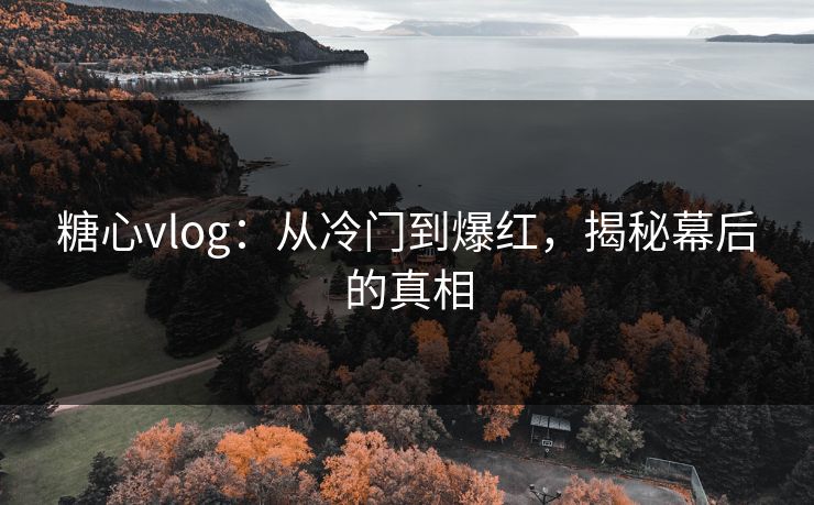糖心vlog：从冷门到爆红，揭秘幕后的真相